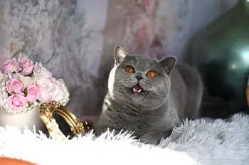 117