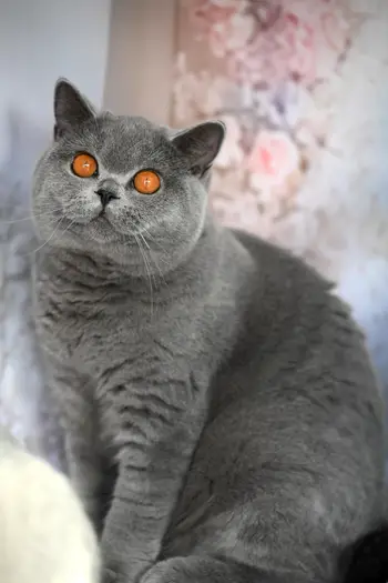 123