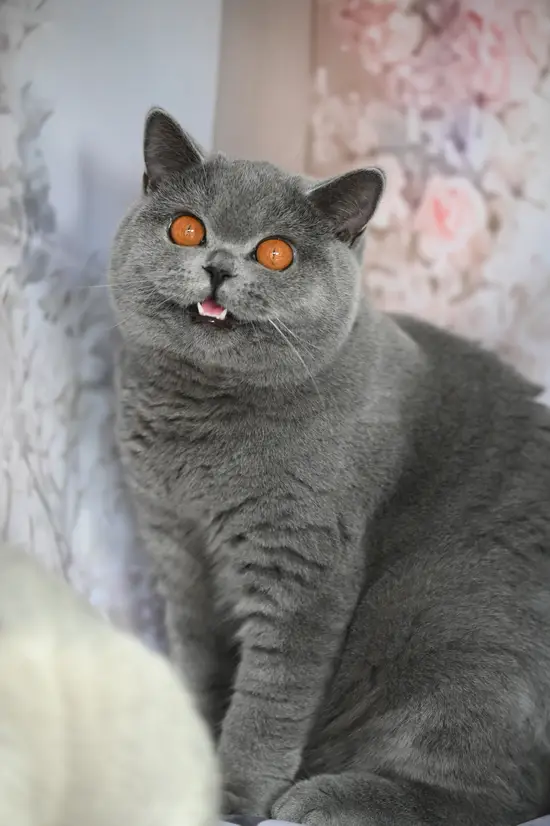 124