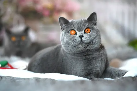 143