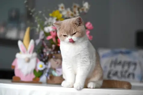 170