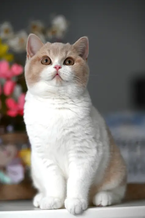 171
