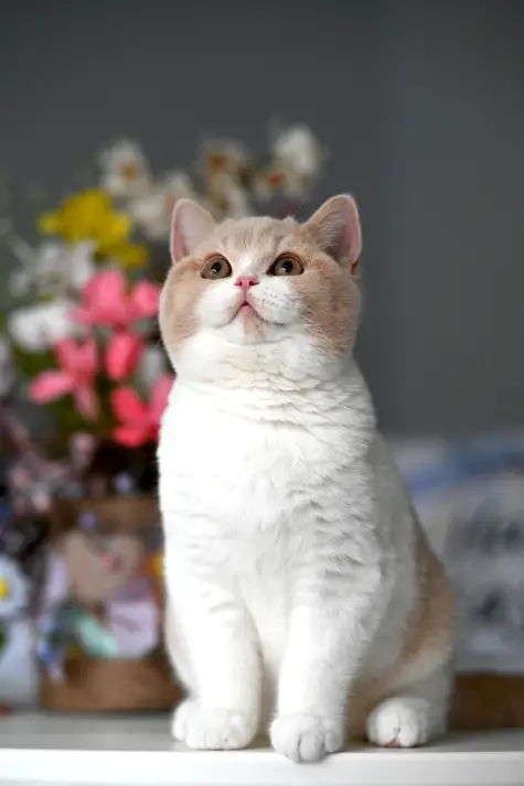 172