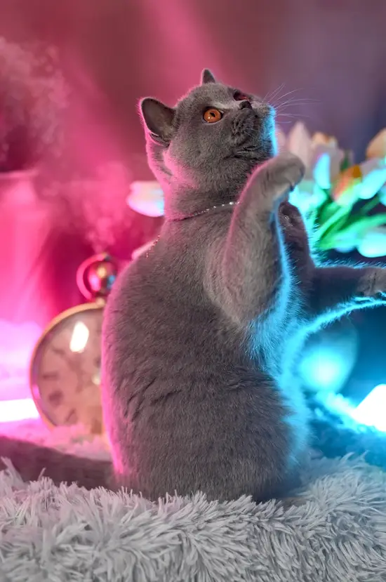 76